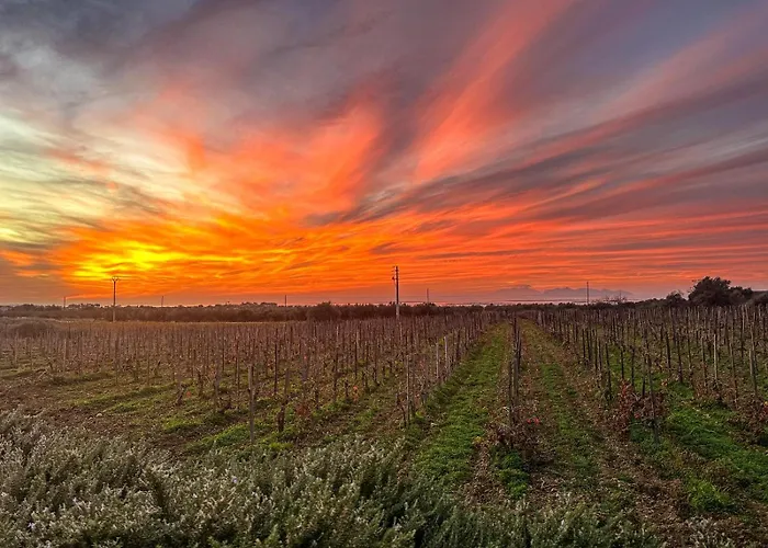 Agriturismo Baglio Donnafranca Wine Resort